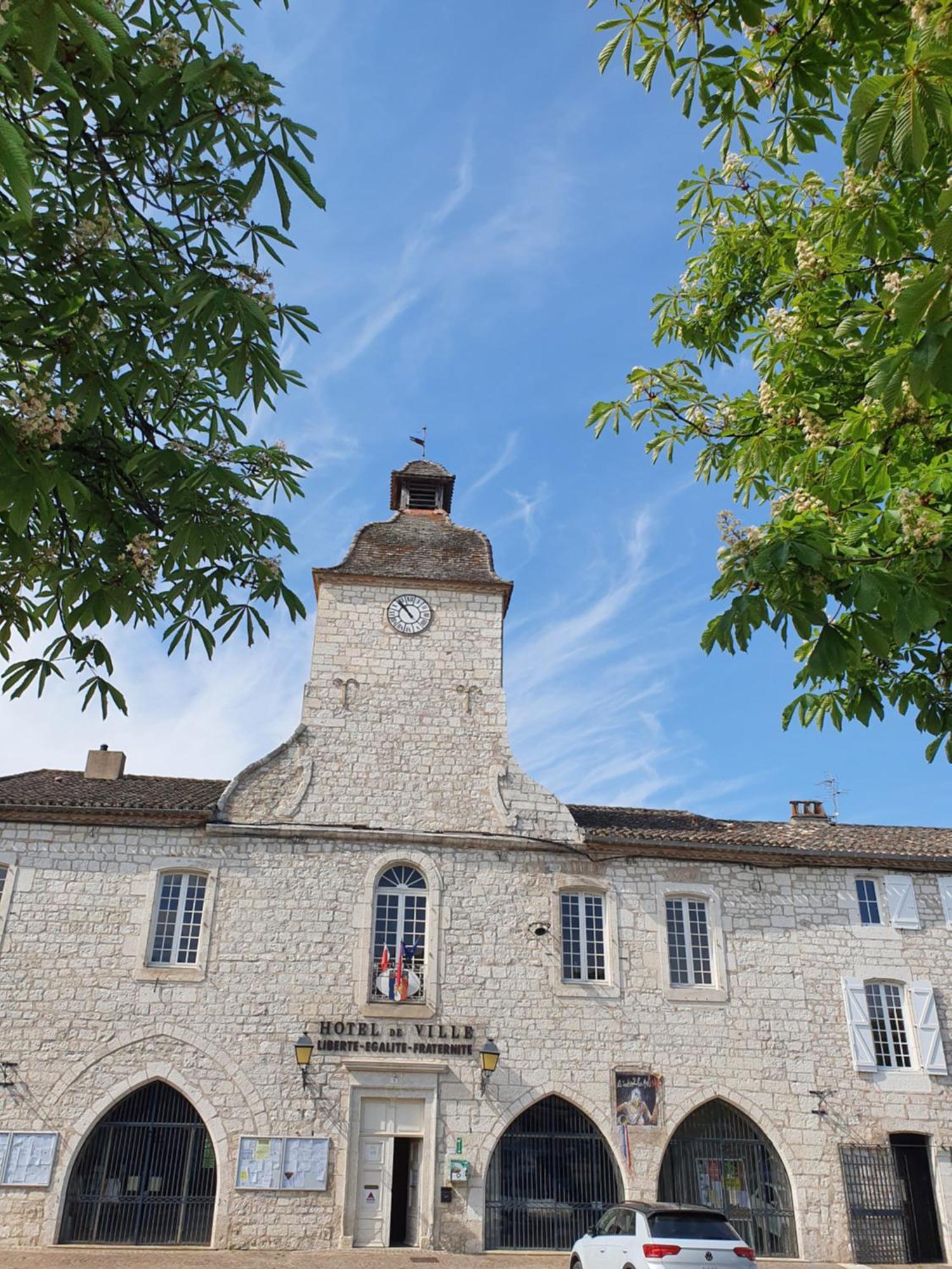 La Cour Saint Louis Bed & Breakfast Castelnau-Montratier ภายนอก รูปภาพ